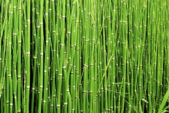 online-tamil-science-news