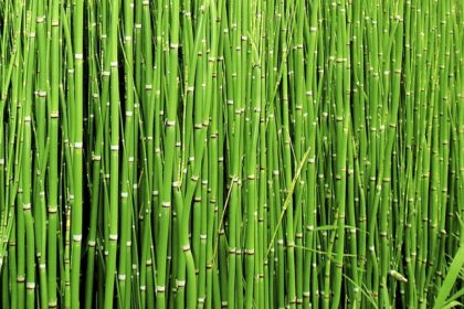 online-tamil-science-news