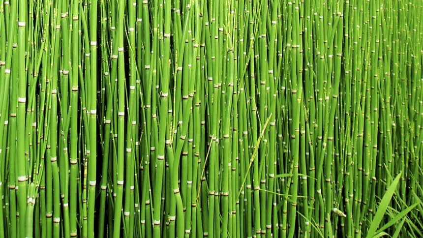 online-tamil-science-news