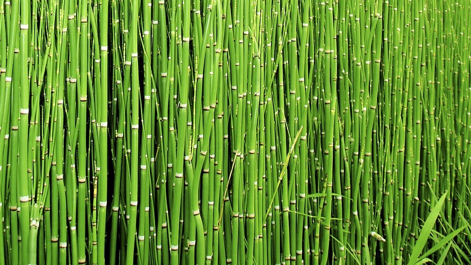 online-tamil-science-news