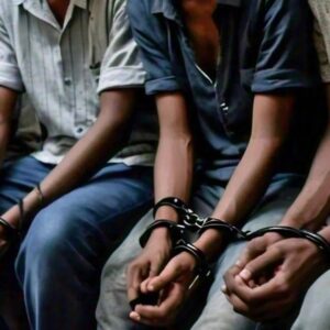 UAE fake news arrest