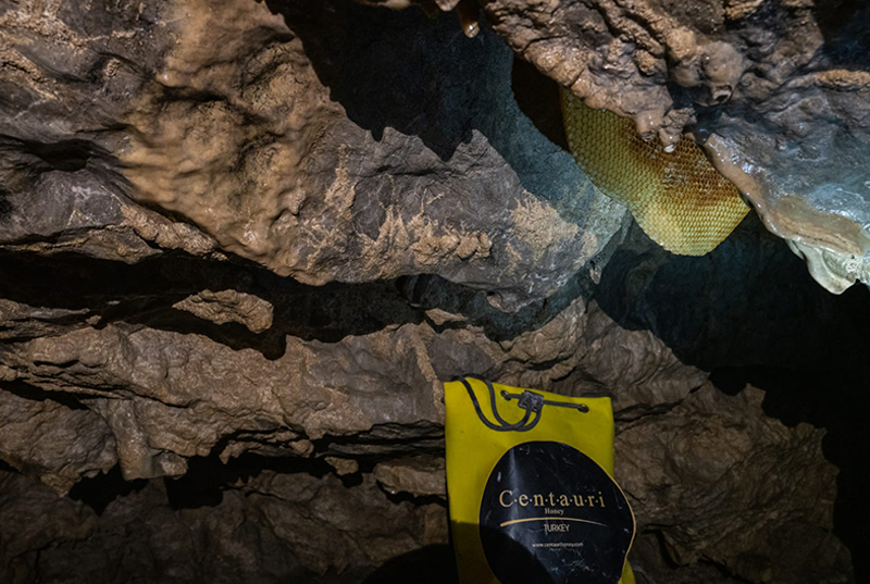 centauri cave honey p