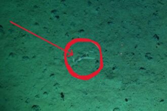 online-tamil-science-news