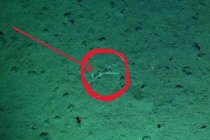 online-tamil-science-news