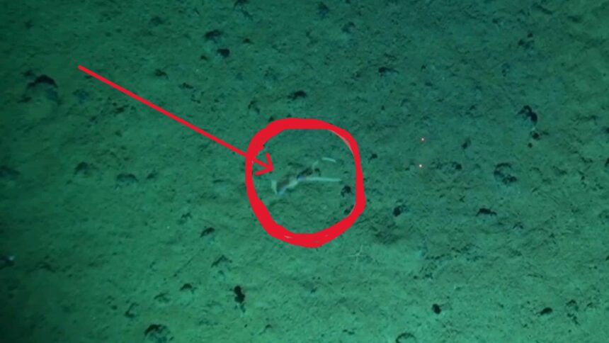 online-tamil-science-news