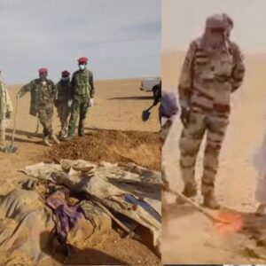 Niger Algeria border incident