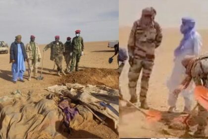 Niger Algeria border incident